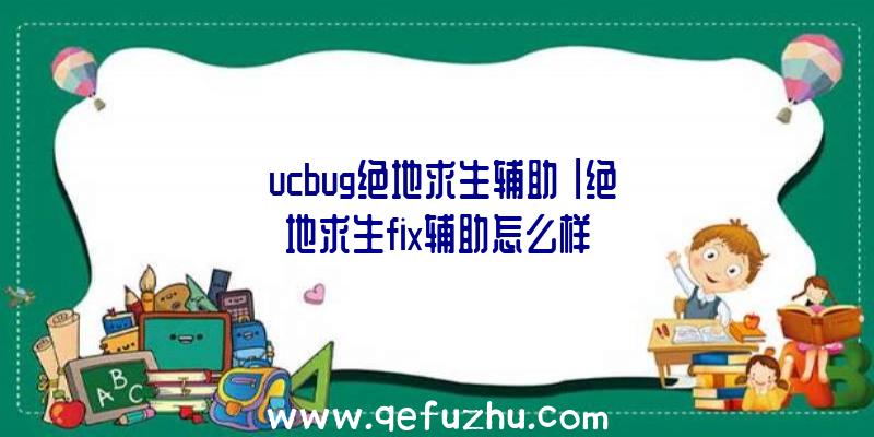 「ucbug绝地求生辅助」|绝地求生fix辅助怎么样